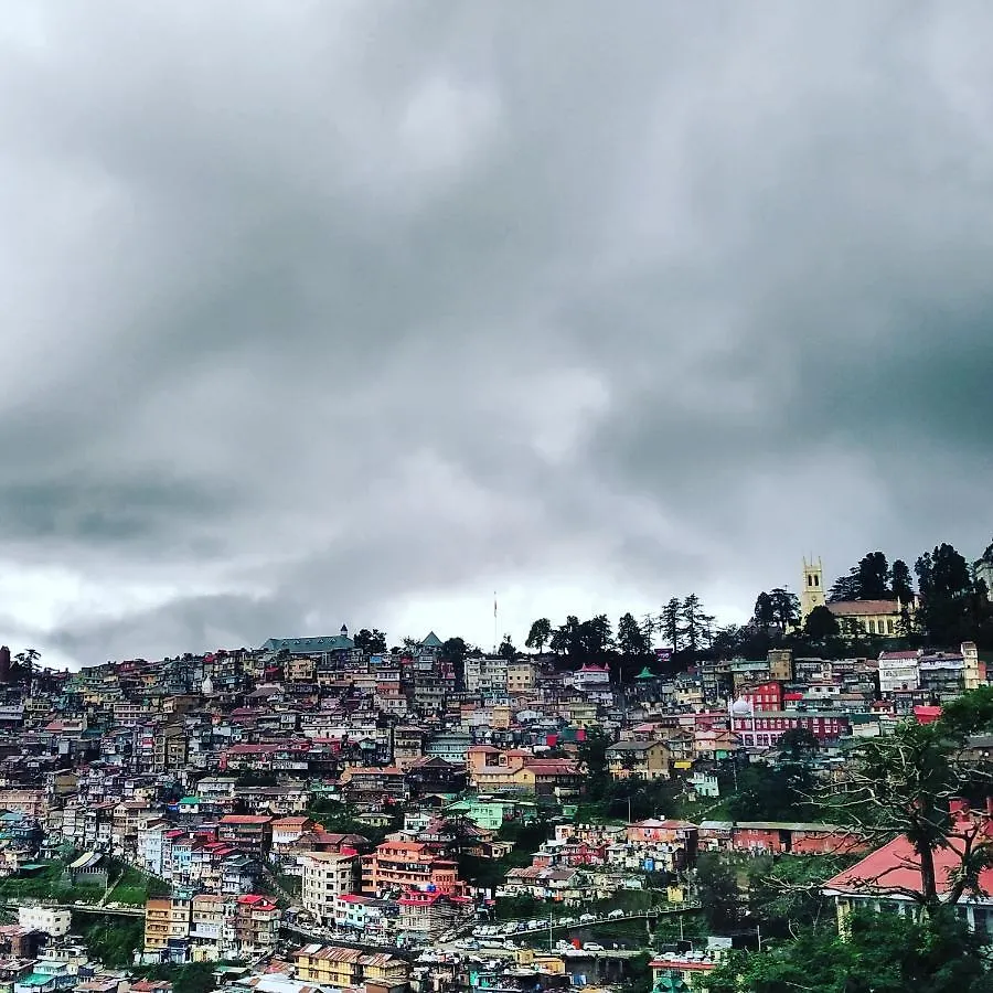 Bed & Breakfast Shimla Pines Homestay