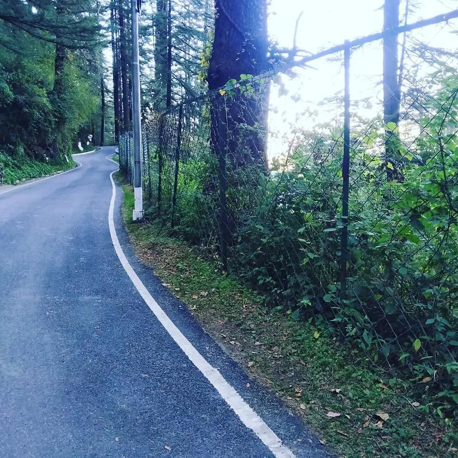 Shimla Pines Homestay